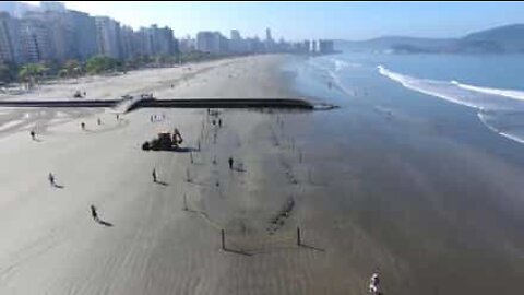 122-year-old shipwreck found on a beach in Brazil