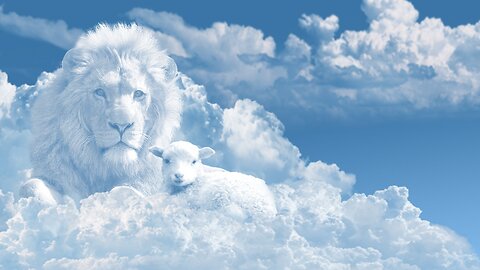 Meditation - Lions Gate Amplifying Your Creations and Mankind