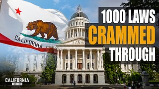 Surprising Reality of Lawmaking in California | Shannon Grove