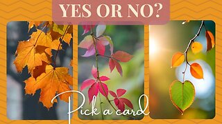 QUICK TAROT READING | YES OR NO? & WHY 🍃 🍁| Pick a card #tarot