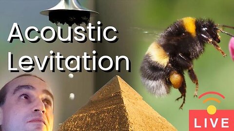 Acoustic Levitation - Do Bees Levitate?