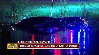 Driver crashes into pond off Courtney Campbell Causeway after another vehicle cut him off