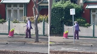 Funny woman pushes cart