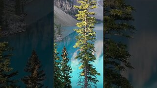 🏞️ Moraine Lake - What a Wonderful World