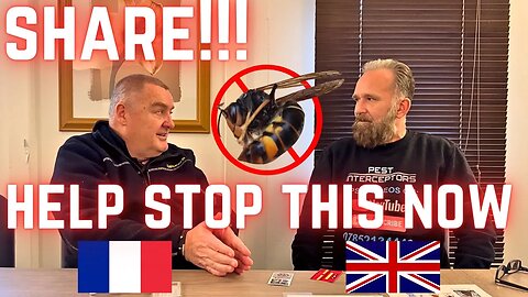 STOP Asian Hornets getting to the UK!!! ASIAN HORNET France and Jersey got it WRONG!!!