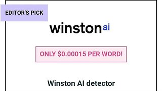 WINSTON AI