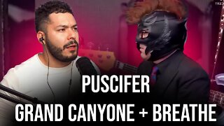 Puscifer - Grand Canyon and Breathe Live! (Reaction)