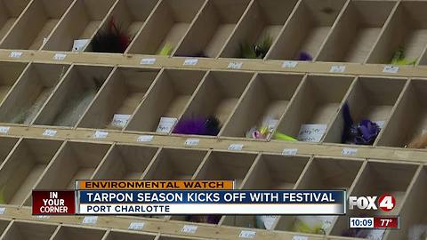 Tarpon Season Kicks Off With Festival