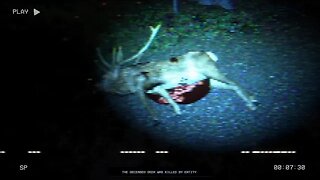 [Leaked] FBI Footage of the O'Brien State Park Incident - The Lancaster Leak (No Commentary)