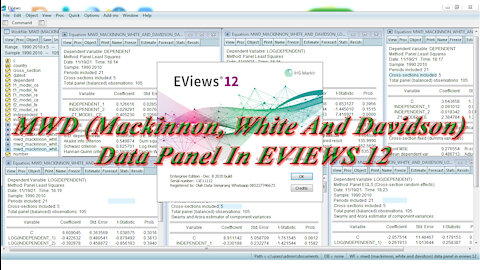 MWD (Mackinnon, White And Davidson) Test Data Panel In EVIEWS 12