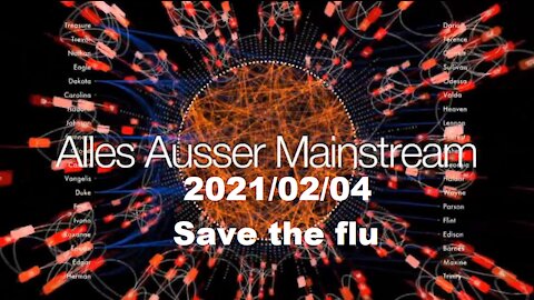 Alles außer Mainstream - Dr Bodo Schiffmann 21/02/04 - Save the Flu