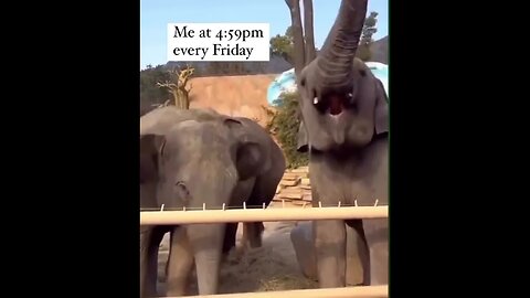 Me At 4.59 on a Friday #Funny