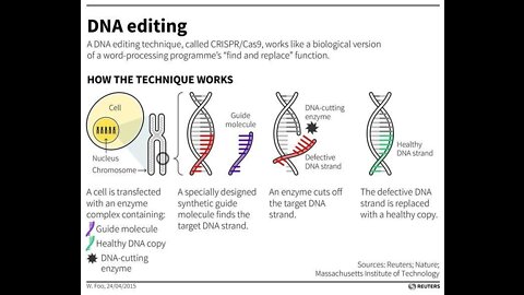 Let's Chat: Should we be allowed to edit the genes of human embryos?