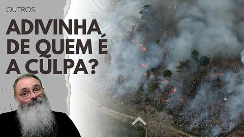 DESMATAMENTO no CERRADO é RECORDE e na AMAZÔNIA é o SEGUNDO PIOR na HISTÓRIA no INÍCIO de 2023