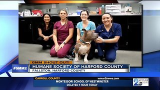 Good morning from the Humane Society of Harford County!