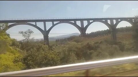 BRIDGE SOUTH AFRICA
