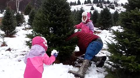 Tot Girl Gets Hit By A Falling Christmas Tree