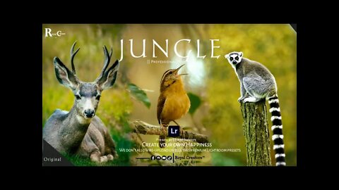 Jungle Presets || Download the free Presets | Royal Creators