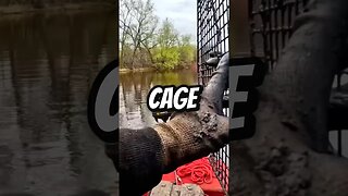 Animal Cage Found Magnet Fishing 😳 #magnetfishing #shorts