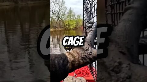 Animal Cage Found Magnet Fishing 😳 #magnetfishing #shorts