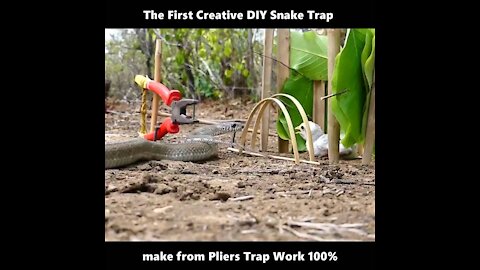 Creative DIY Snake Trap make from Pliers Trap Work 100%