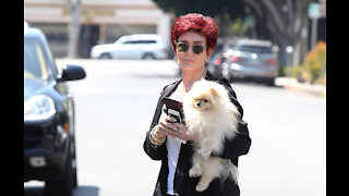 Sharon Osbourne steps up her security