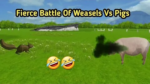 Weasel vs Pig: The Ultimate Barnyard Battle - Who Will Come Out on Top?