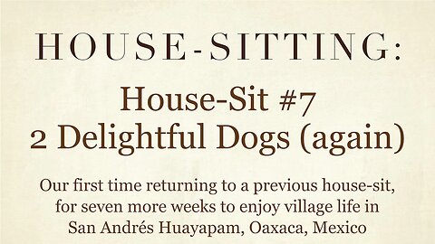 House-Sitting » House-Sit #7 » 2 Delightful Dogs (again) » San Andrés Huayapam, Oaxaca, Mexico