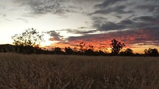 SUNRISE AT JASHUA TREE!