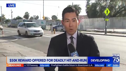 Reporter's Story On Dangerous L.A Street Interrupted By Hit And Run