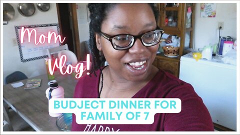 Mom Vlog! Budget Dinner For A Family Of 7