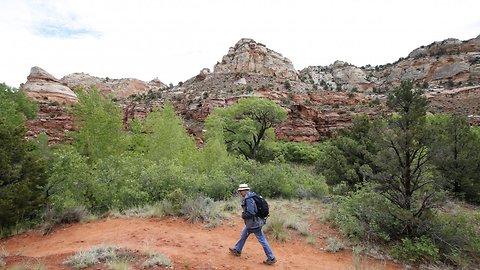 Most Members Of The National Park System Advisory Board Just Quit