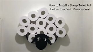How to Install a Sheep Toilet Roll Holder to a Brick Masonry Wall