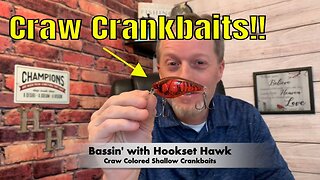 Shallow Water Craw Crankbaits For Fall Fishing!!! #crankbait #bassfishing