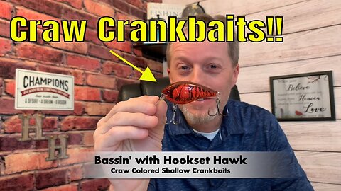 Shallow Water Craw Crankbaits For Fall Fishing!!! #crankbait #bassfishing