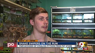 Pet store workers worried about stolen snake