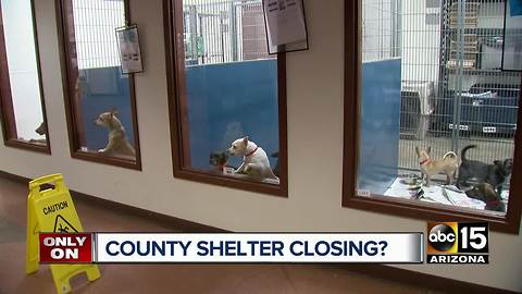 Maricopa County considering closing one of it's animal shelters