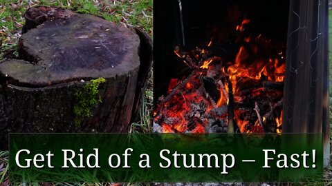 Get Rid of a Stump Fast