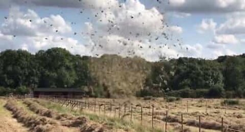 Tornado formerer på en bondegård i England