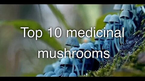 Top 10 Medicinal Mushrooms