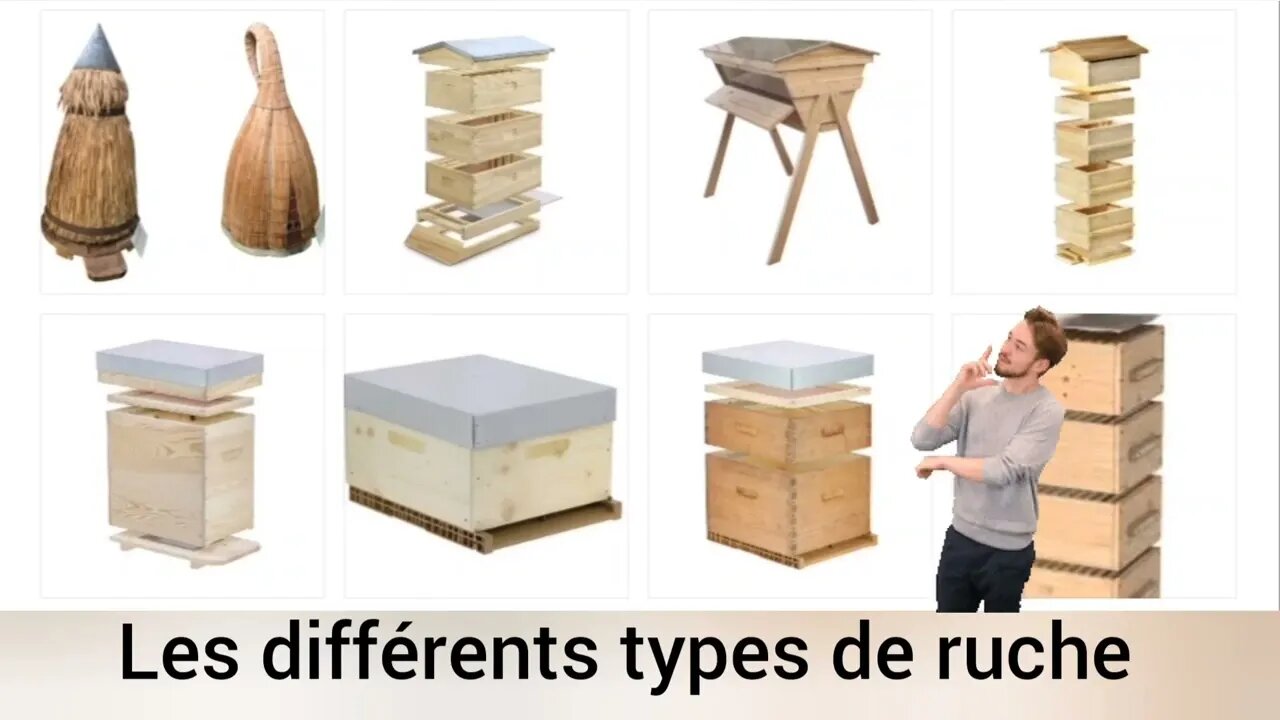 Les différents types de ruche en apiculture, leurs avantages et les ...