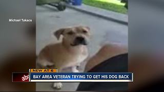 Military vet's dog adopted out to family who refuses to give it back
