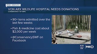 Animal hospital needs donations