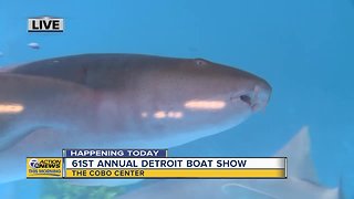 Detroit Boat Show