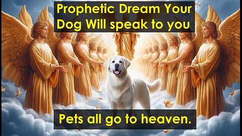 Dog Miracle Dream Talks to women Prophecy About Jesus's Return