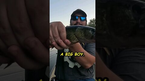 FISHING FOR A BIG BOY PICKEREL!
