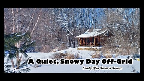 A Quiet, Snowy Off-Grid Day