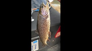 Fishing at the Teton Dam area Idaho rainbow trout Brown Trout