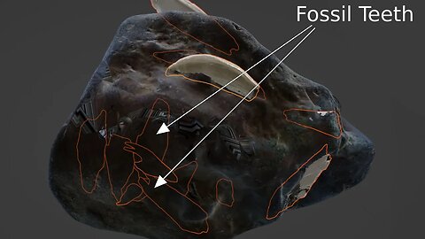 Neutron scan of fossil rock reveals hidden teeth [x-ray on steroids]