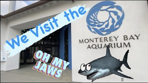 We Visit The Monterey Bay Aquarium